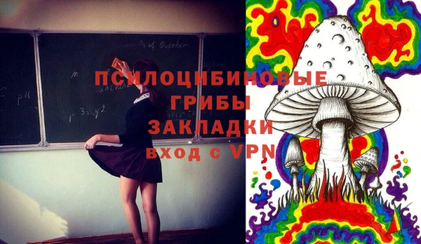 круглые Абаза