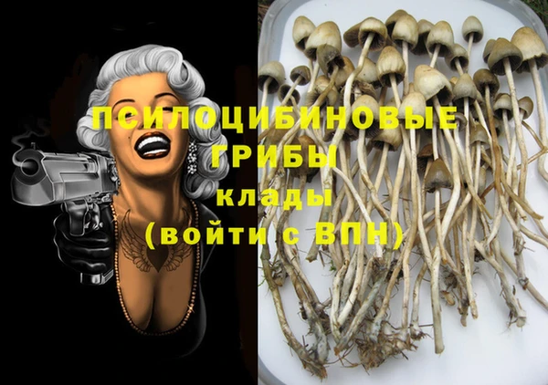 гашик Новодвинск