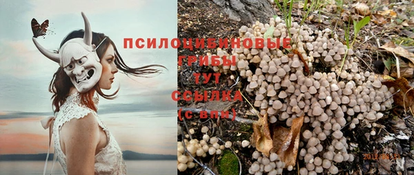 экстази Новозыбков