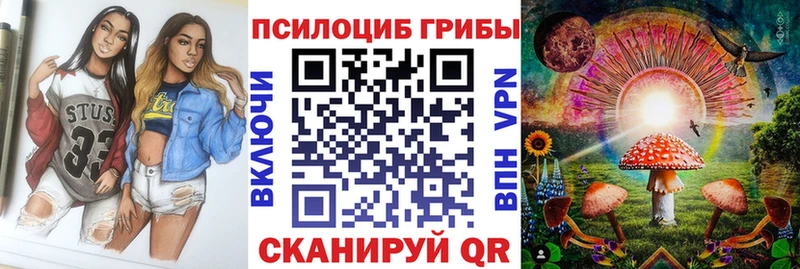 Псилоцибиновые грибы Cubensis  что такое   Черемхово 